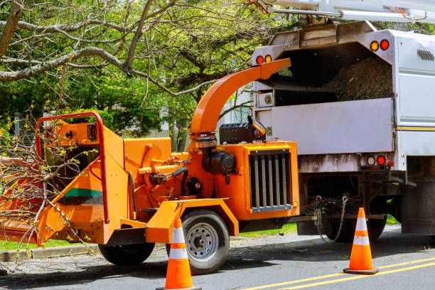 Mulching Services